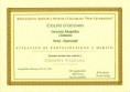 /album/foto-concorso/attestato-vazzana-jpg/
